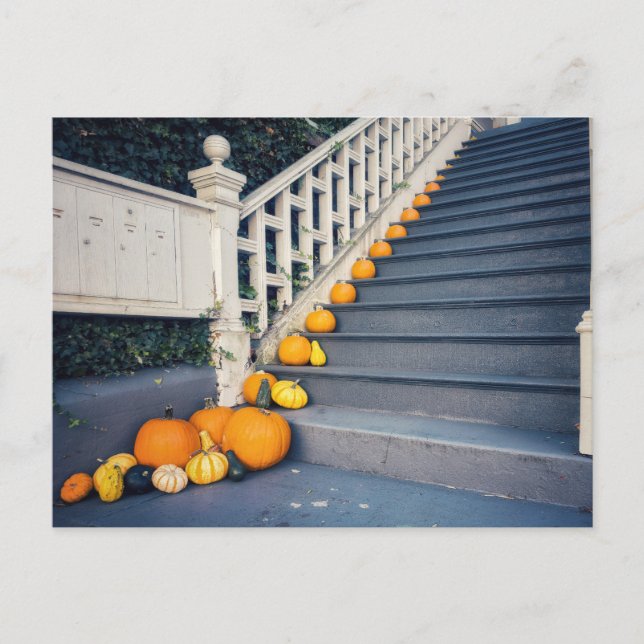 Kürbisse auf der Treppe Postkarte (Vorderseite)