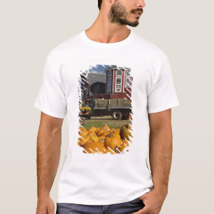 Kürbisse auf einem Bauernhof im Herbst nahe Concor T-Shirt