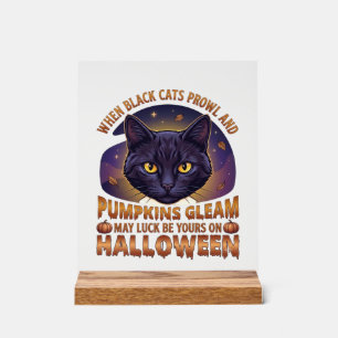 Kürbisse Glänzen Halloween Schwarze Katze Fallende Acrylschild