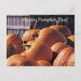 Kürbisse in einer Kiste - Halloween-Postkarte Postkarte
