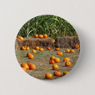 Kürbisse, Mais und Heu Herbst Ernte Fotografie Button