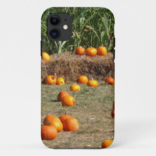 Kürbisse, Mais und Heu Herbst Ernte Fotografie Case-Mate iPhone Hülle