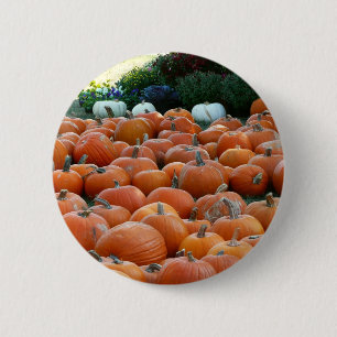 Kürbisse und Chrysanthemen Herbst-Ernte-Fotografie Button