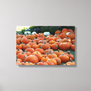 Kürbisse und Chrysanthemen Herbst-Ernte-Fotografie Leinwanddruck