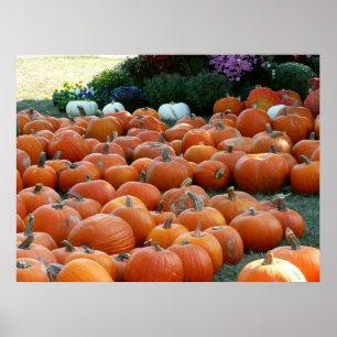 Kürbisse und Chrysanthemen Herbst-Ernte-Fotografie Poster