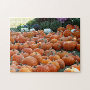 Kürbisse und Chrysanthemen Herbst-Ernte-Fotografie Puzzle