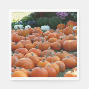 Kürbisse und Chrysanthemen Herbst-Ernte-Fotografie Serviette