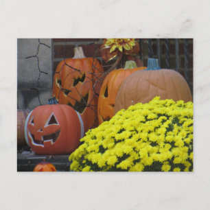 Kürbisse und Chrysanthemen Postkarte