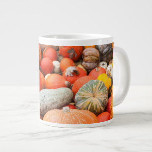 Kürbissorte zum Verkauf, Deutschland Jumbo-Tasse