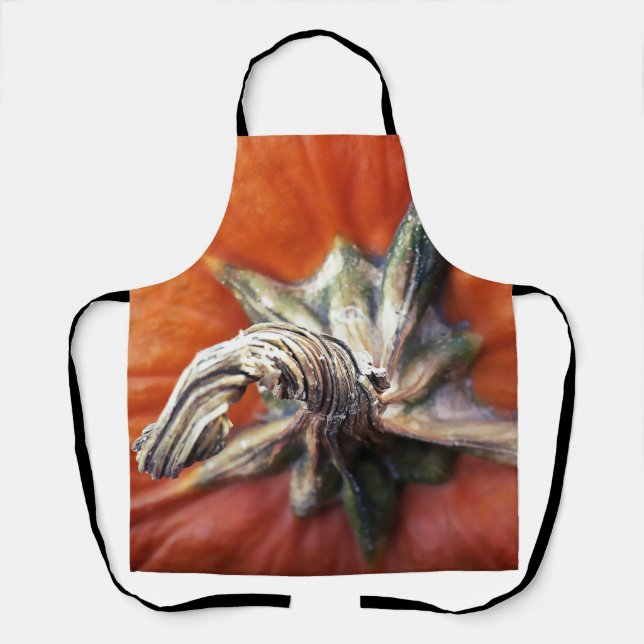 Kürbisspirale Schürze (Vorderseite)