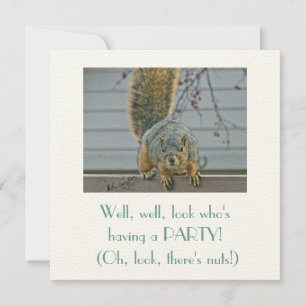 KURIOUSSQUIRREL AM ZENTRUM MIT BLICK IN DAS HAUS EINLADUNG