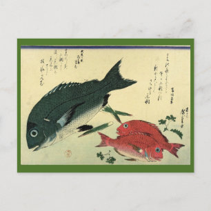 Kurodai & Akadai - Japanische Fischdruckerei in Hi Postkarte