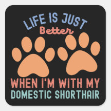 Kursofferten für den häuslichen Kurzhahn2