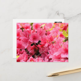 Kurume Azalea Postkarte