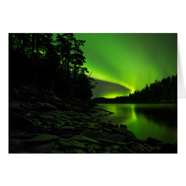 Kurven (Vorderseite (Horizontal))