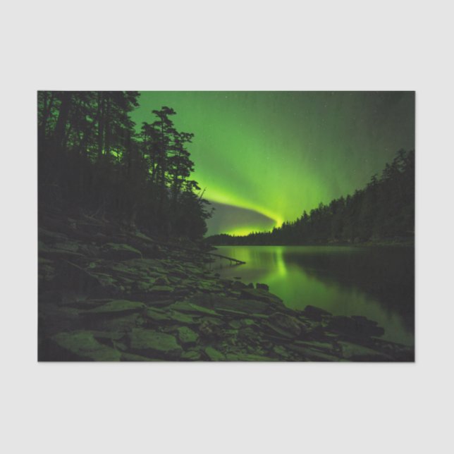 Kurven Seidenpapier (Vorderseite)