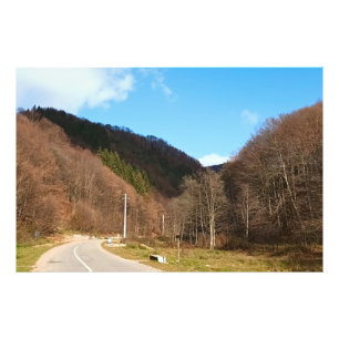 Kurvenreiche Straße durch den Wald – Wilde Natur R Fotodruck