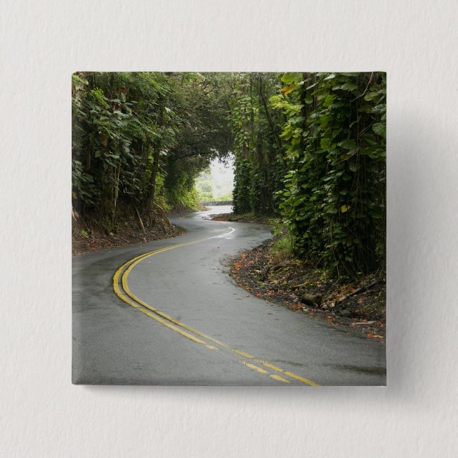 Kurvenreiche Straßen durch Regenwald, Insel von Button (Vorderseite)