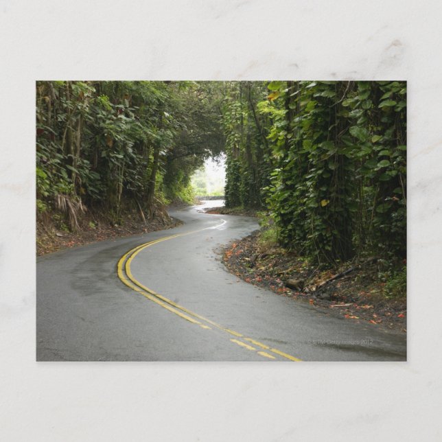 Kurvenreiche Straßen durch Regenwald, Insel von Postkarte (Vorderseite)