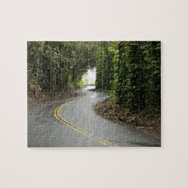 Kurvenreiche Straßen durch Regenwald, Insel von Puzzle (Horizontal)