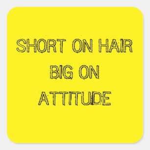 KURZ AUF HAIR BIG AUF ATTITUBLEN STICKER