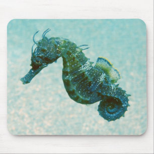 Kurz-Geschnüffeltes Seepferd Krim, Russland Mousepad