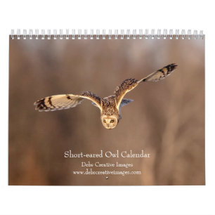 Kurz gezogenes Owl 2026 Kalender