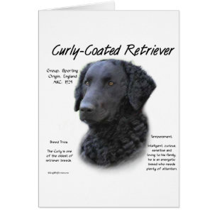 Kurz überzogenes Retriever History Design