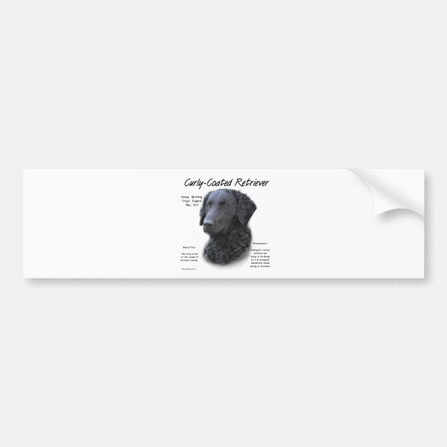 Kurz überzogenes Retriever History Design Autoaufkleber (Vorne)