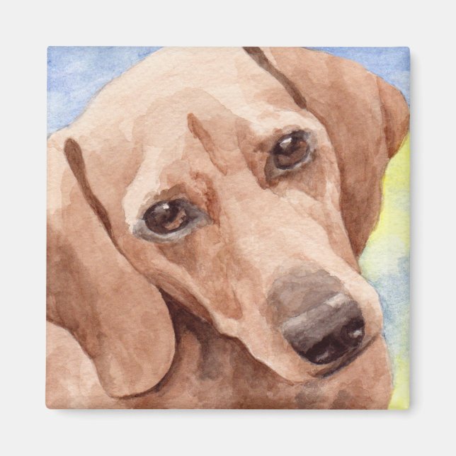 Kurze Dackel Hunde Portrait Magnet (Vorne)