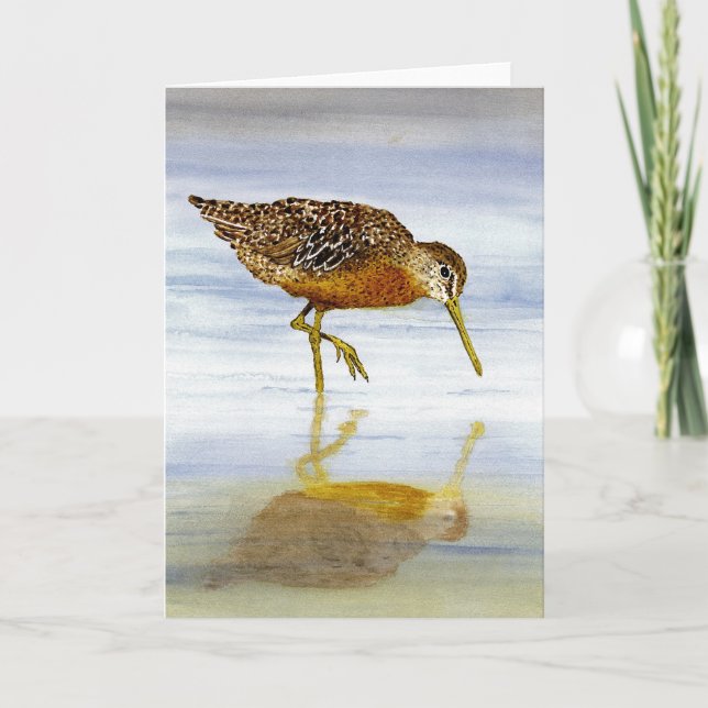 Kurze Dowitcher-Karte Karte (Vorderseite)