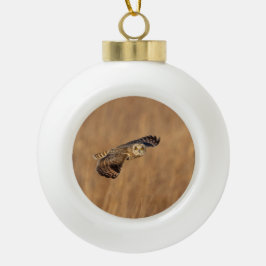 Kurze Eule im Grasland Keramik Kugel-Ornament