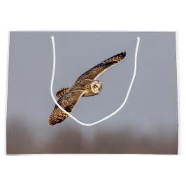 Kurze Eule im Shawangunk-Grasland Große Geschenktüte