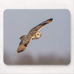 Kurze Eule im Shawangunk-Grasland Mousepad
