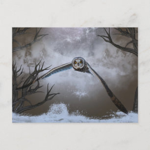 Kurze Eule im Shawangunk-Grasland Postkarte