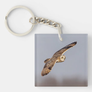 Kurze Eule im Shawangunk-Grasland Schlüsselanhänger