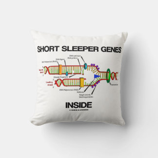 Kurze Sleeper-Gene innerhalb des DNA-Replikations- Kissen