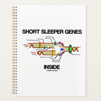 Kurze Sleeper-Gene innerhalb des DNA-Replikations- Planer