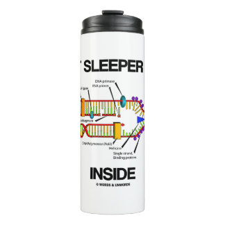 Kurze Sleeper-Gene innerhalb des DNA-Replikations- Thermosbecher