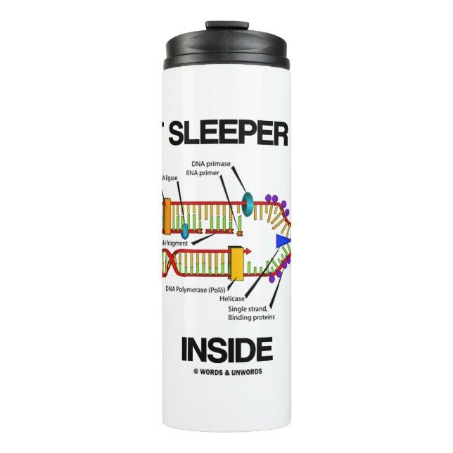 Kurze Sleeper-Gene innerhalb des DNA-Replikations- Thermosbecher (Vorderseite)