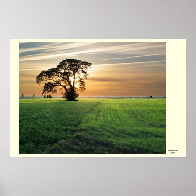 Kurzemes skati poster (Vorne)