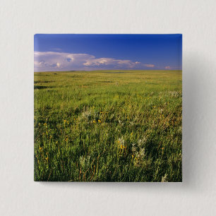 Kurzer Grass Prairie im äußersten Nordosten Button