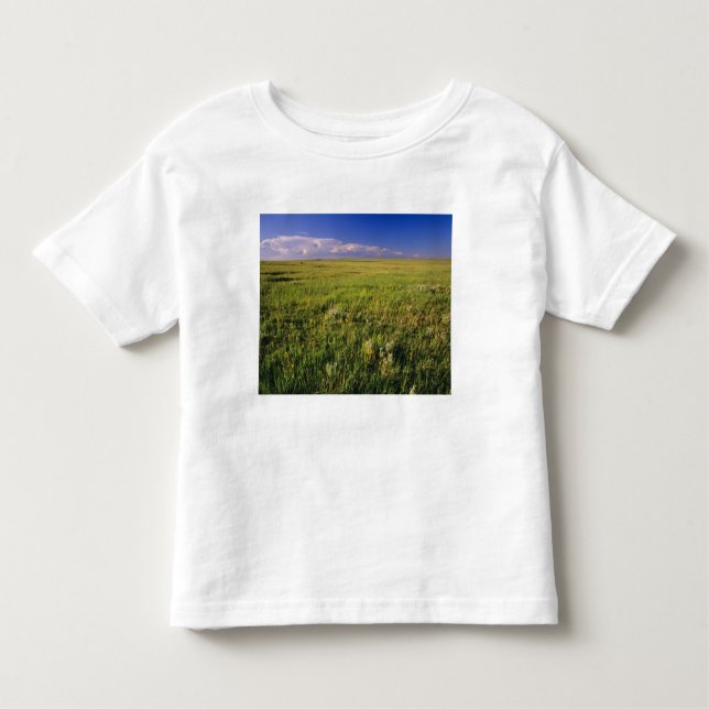 Kurzer Grass Prairie im äußersten Nordosten Kleinkind T-shirt (Vorderseite)