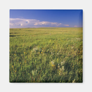 Kurzer Grass Prairie im äußersten Nordosten Magnet