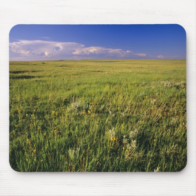Kurzer Grass Prairie im äußersten Nordosten Mousepad (Vorne)