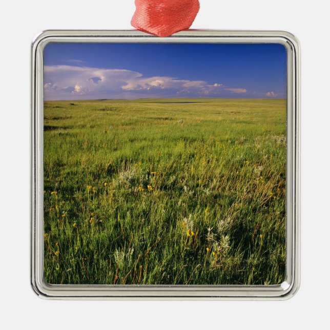 Kurzer Grass Prairie im äußersten Nordosten Silbernes Ornament (Vorne)