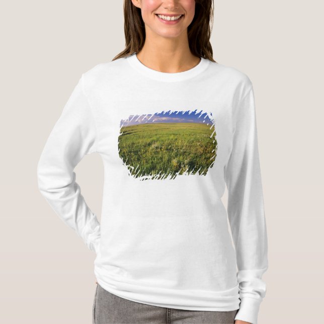 Kurzer Grass Prairie im äußersten Nordosten T-Shirt (Vorderseite)