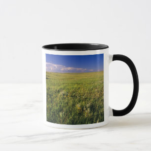 Kurzer Grass Prairie im äußersten Nordosten Tasse