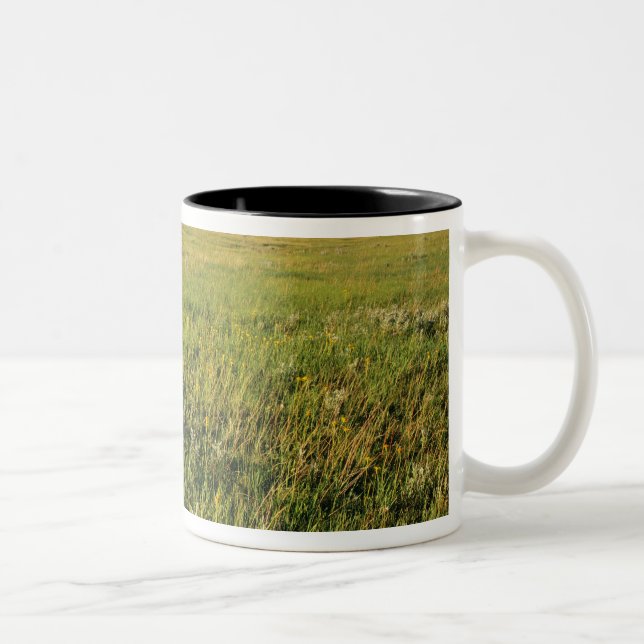 Kurzer Grass Prairie im äußersten Nordosten Zweifarbige Tasse (Rechts)