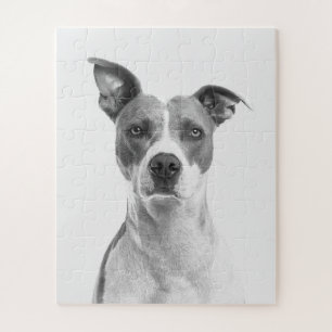 Kurzer Hufhund in Graustufen (schwarz und weiß) Puzzle